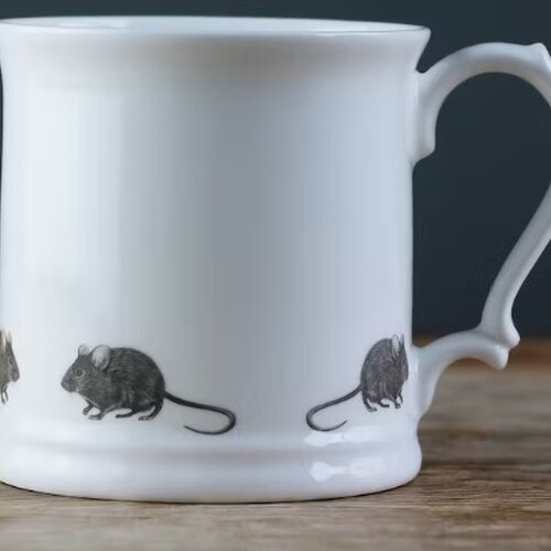 mug souris